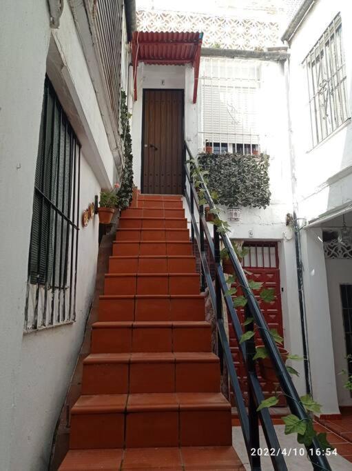 Appartement Precioso Loft En El Centro De Cordoba. Extérieur photo